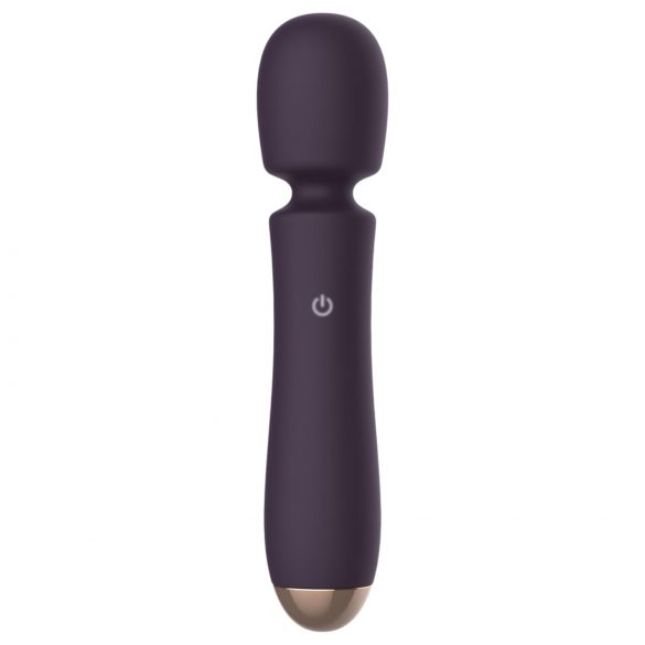 Raytech - Wiederaufladbarer wasserdichter Vibrator (Lila)