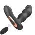 Aixiasia Hiross - Drehender Analvibrator (schwarz)